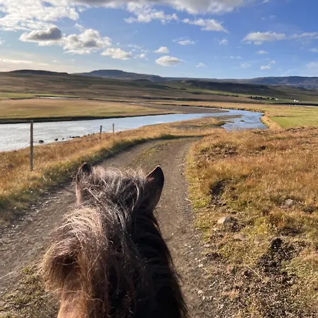 Stora-Asgeirsa Horse Farm Stay Vithigerthi Buitenkant foto