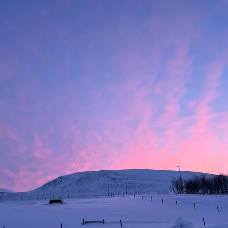 Stora-Asgeirsa Horse Farm Stay Vithigerthi Buitenkant foto