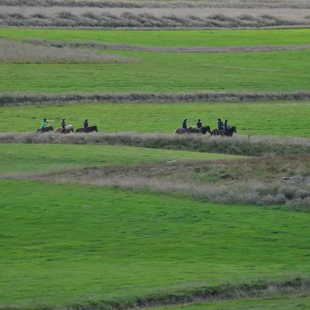 Stora-Asgeirsa Horse Farm Stay Vithigerthi Buitenkant foto