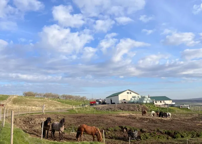 Stóra-Ásgeirsá Horse Farm Stay