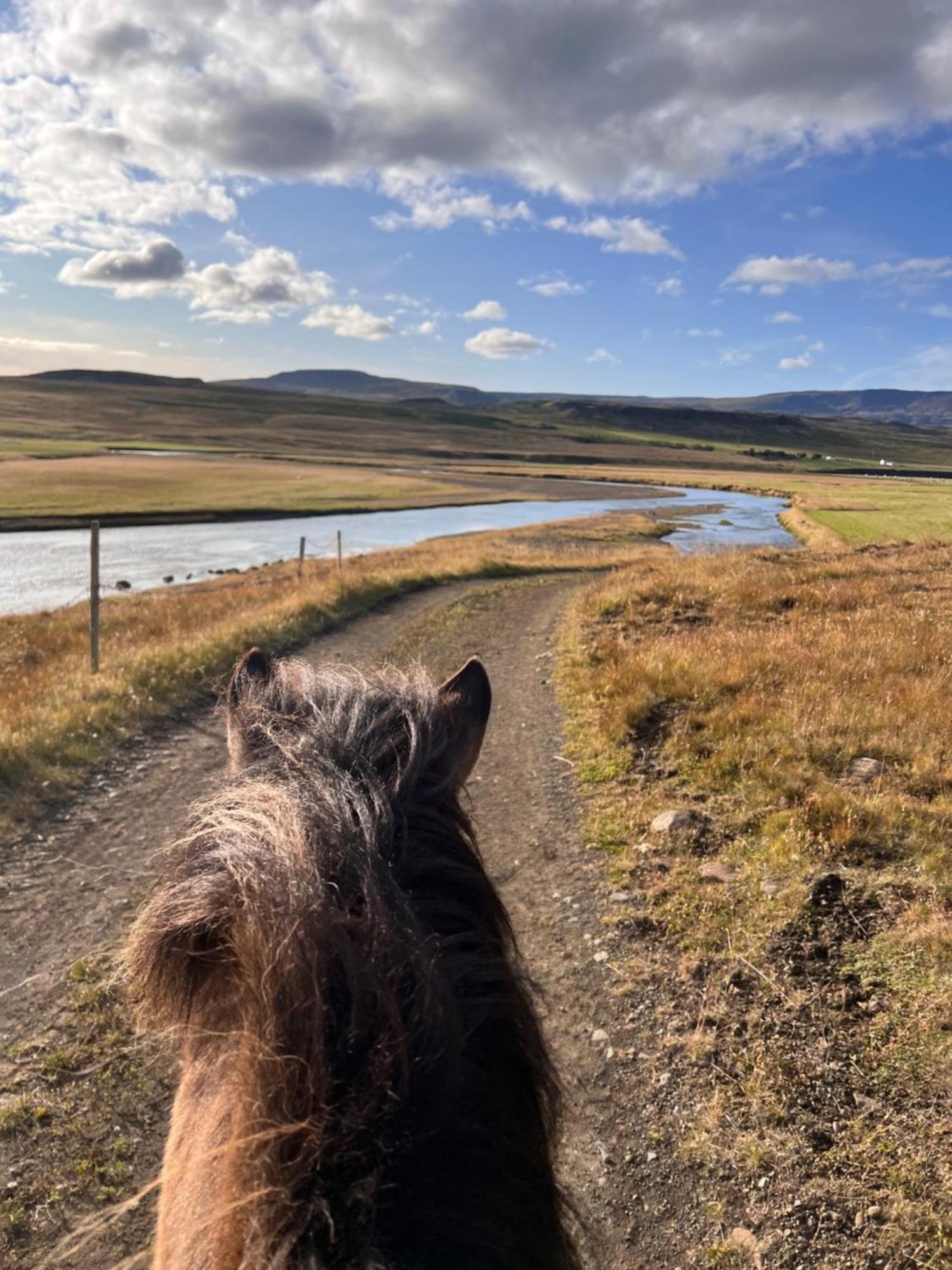 Stóra-ásgeirsá Horse Farm Vithigerthi
