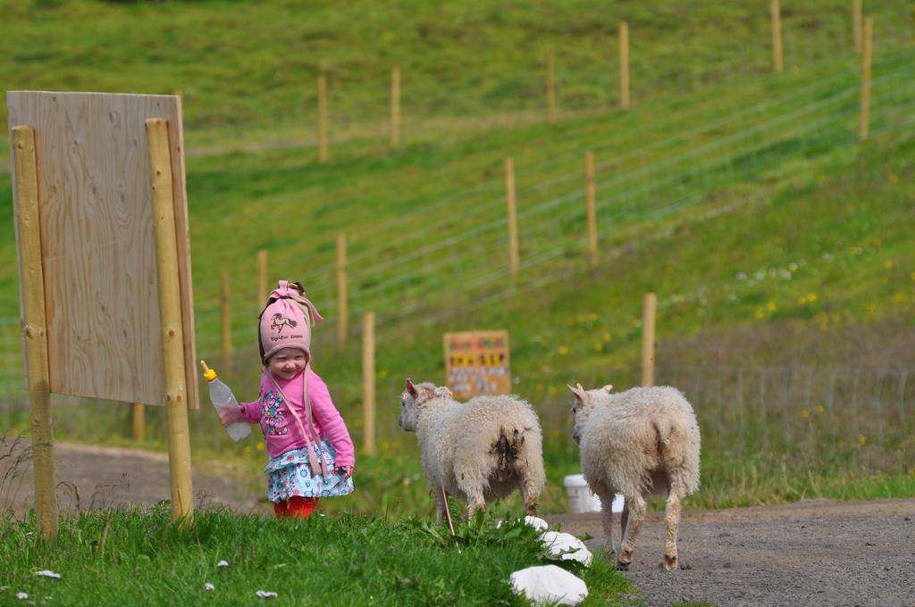 Bauernhof Stóra-ásgeirsá Horse Farm Vithigerthi