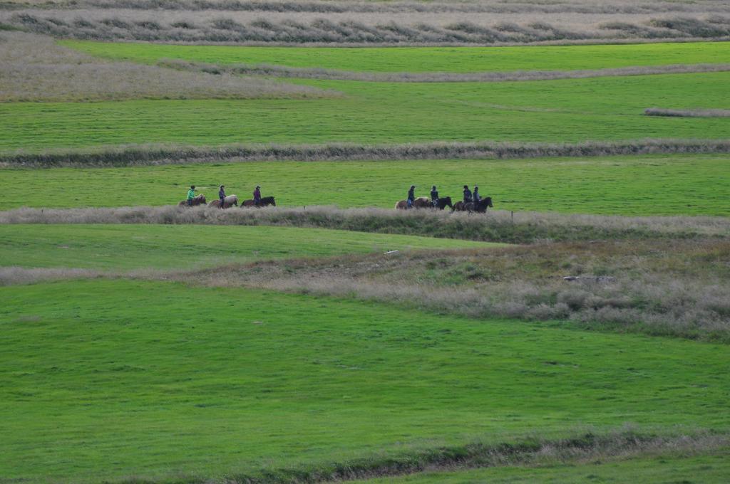 Bauernhof Stóra-ásgeirsá Horse Farm